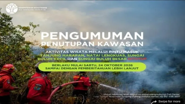 Kebakaran Hutan Mengancam, 4 Pintu Masuk Wisata Taman Nasional Tanjung Puting Resmi Ditutup